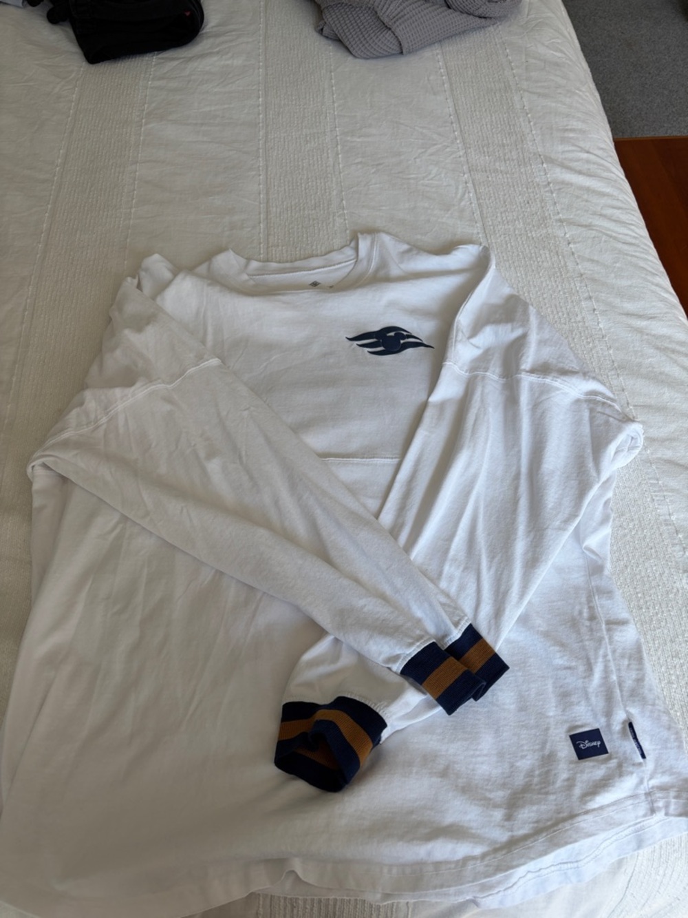 Disney Wish Jersey